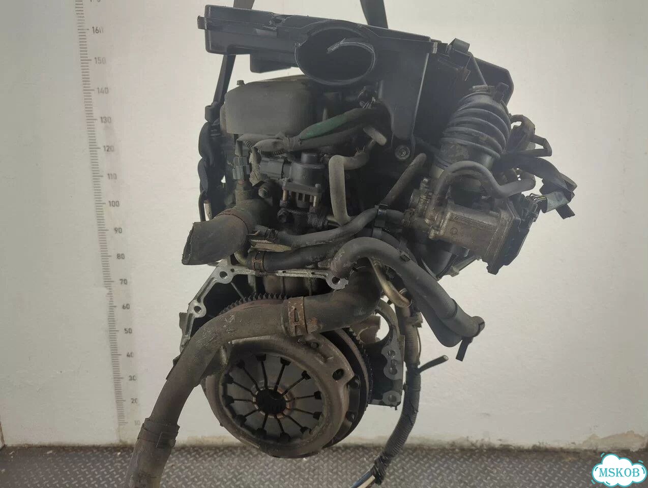 Двигатель Suzuki SX4 M16A фото 3