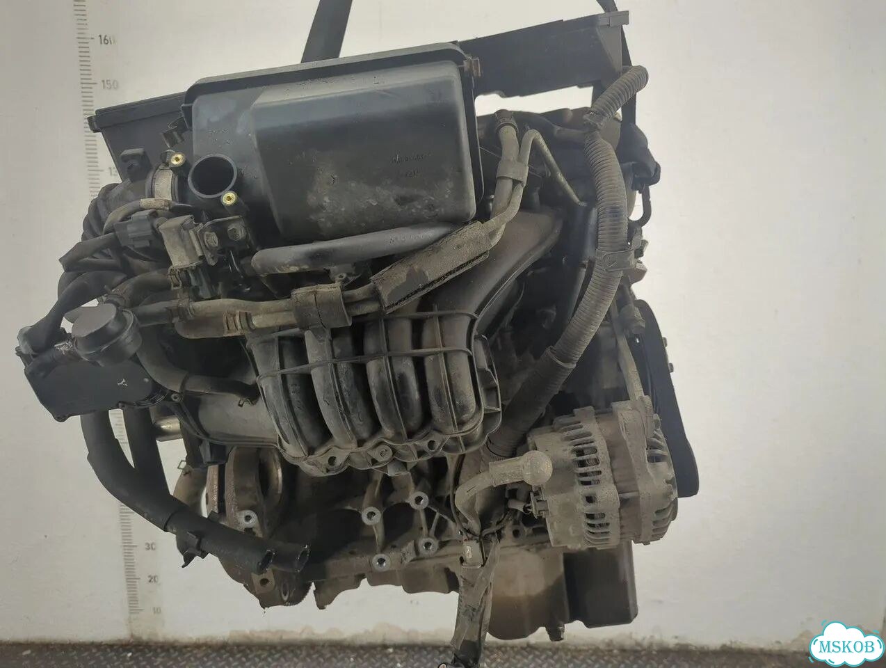 Двигатель Suzuki SX4 M16A фото 4