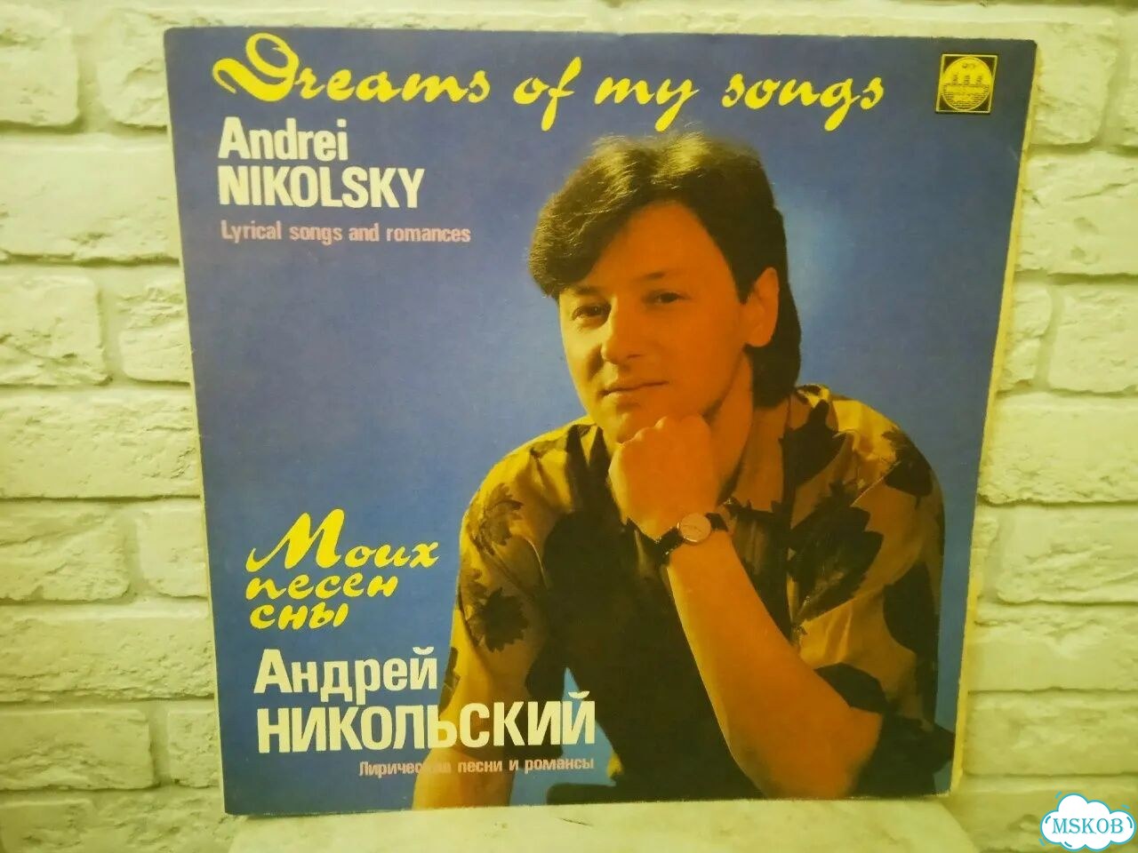 Виниловая пластинка Андрей Никольский (LP) фото 1