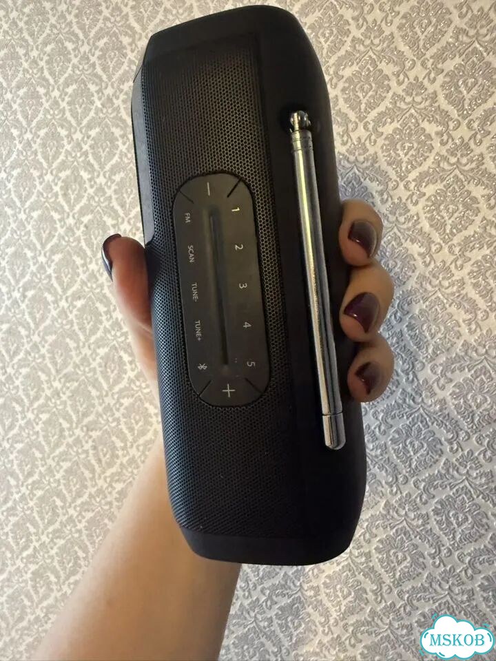 Колонка JBL Tuner Fm оригинал фото 2