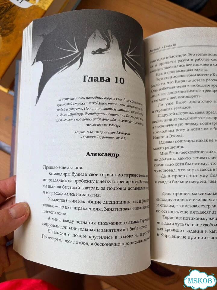 Сожженные земли цикл 4 книги фото 6
