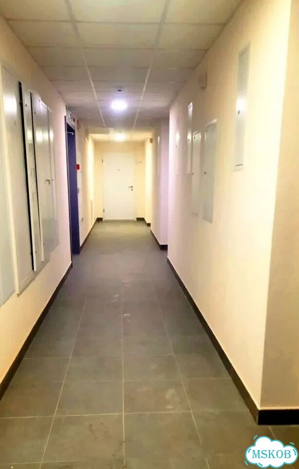 Квартира-студия, 25,2 м², 10/33 эт. фото 13