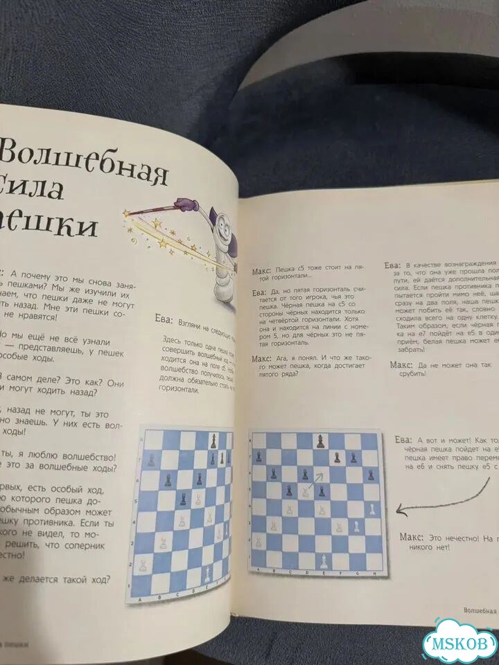 Чеваннес С. Шахматы для детей фото 3