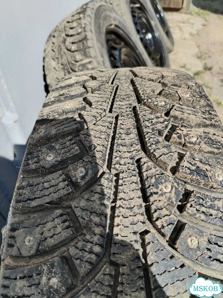 Ikon Tyres Nordman 5 205/55 R16 94T фото 1
