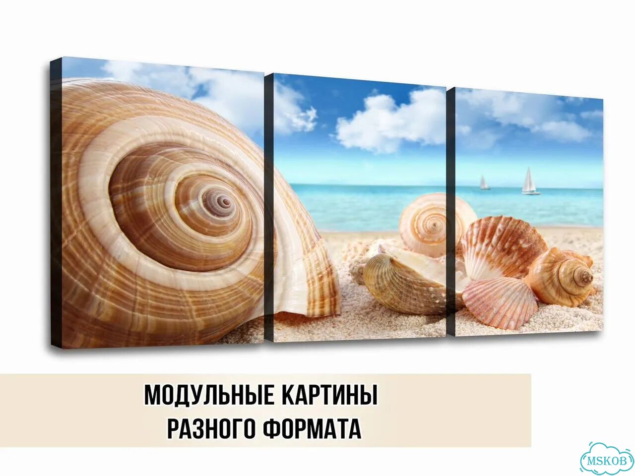 Картины ракушки под заказ фото 3