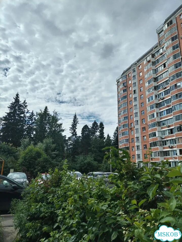 3-к. квартира, 75 м², 8/17 эт. фото 23