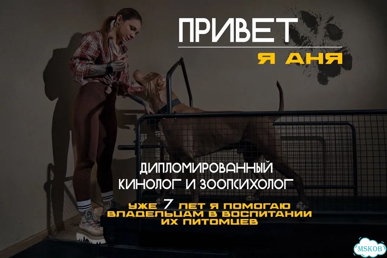 Кинолог зоопсихолог онлайн фото 2