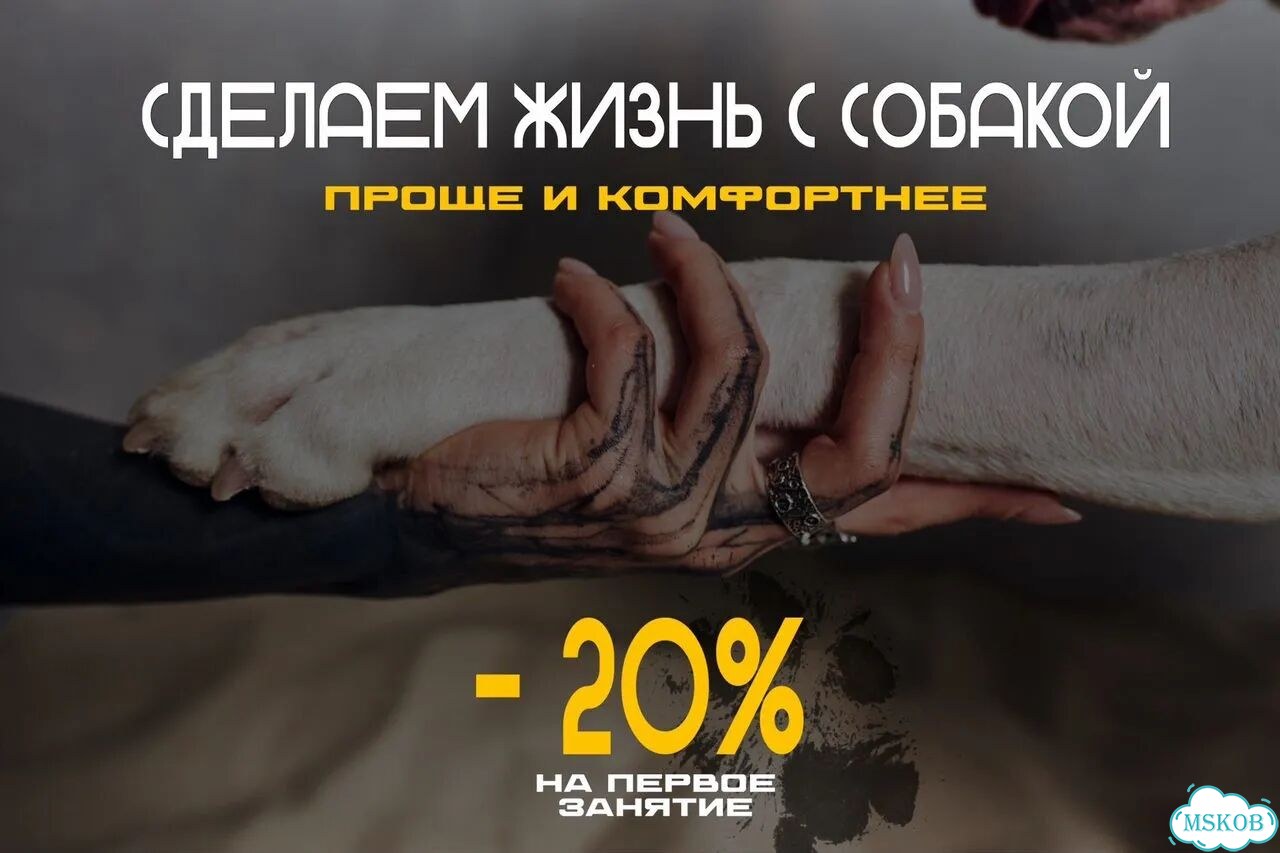 Кинолог зоопсихолог онлайн фото 7