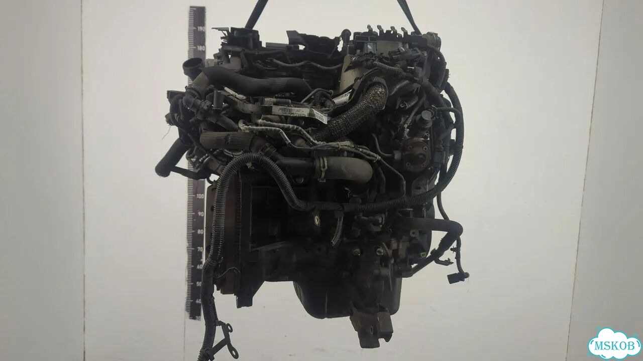 Двигатель Peugeot Partner 9HP фото 5