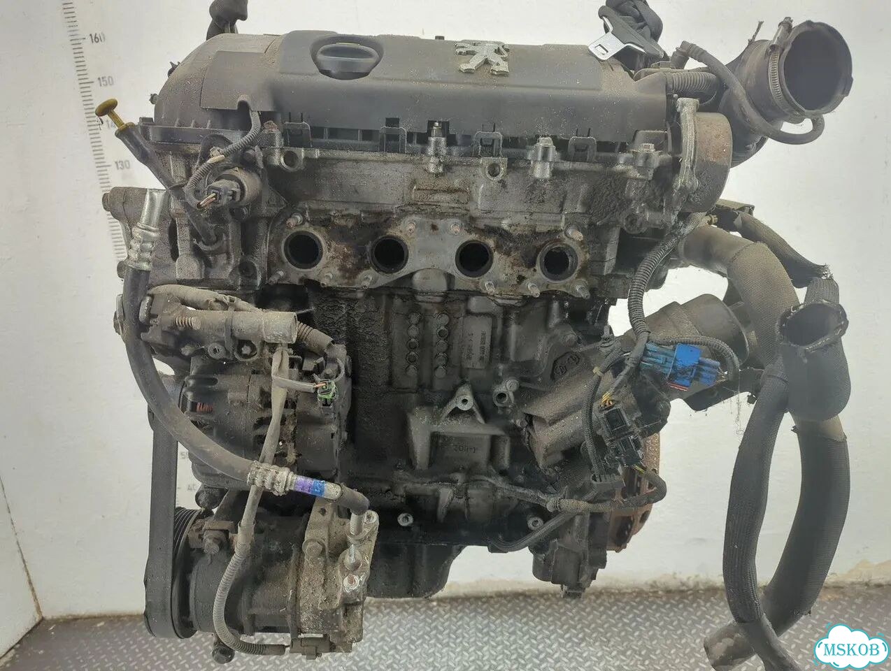 Двигатель Peugeot 308 5FW фото 4