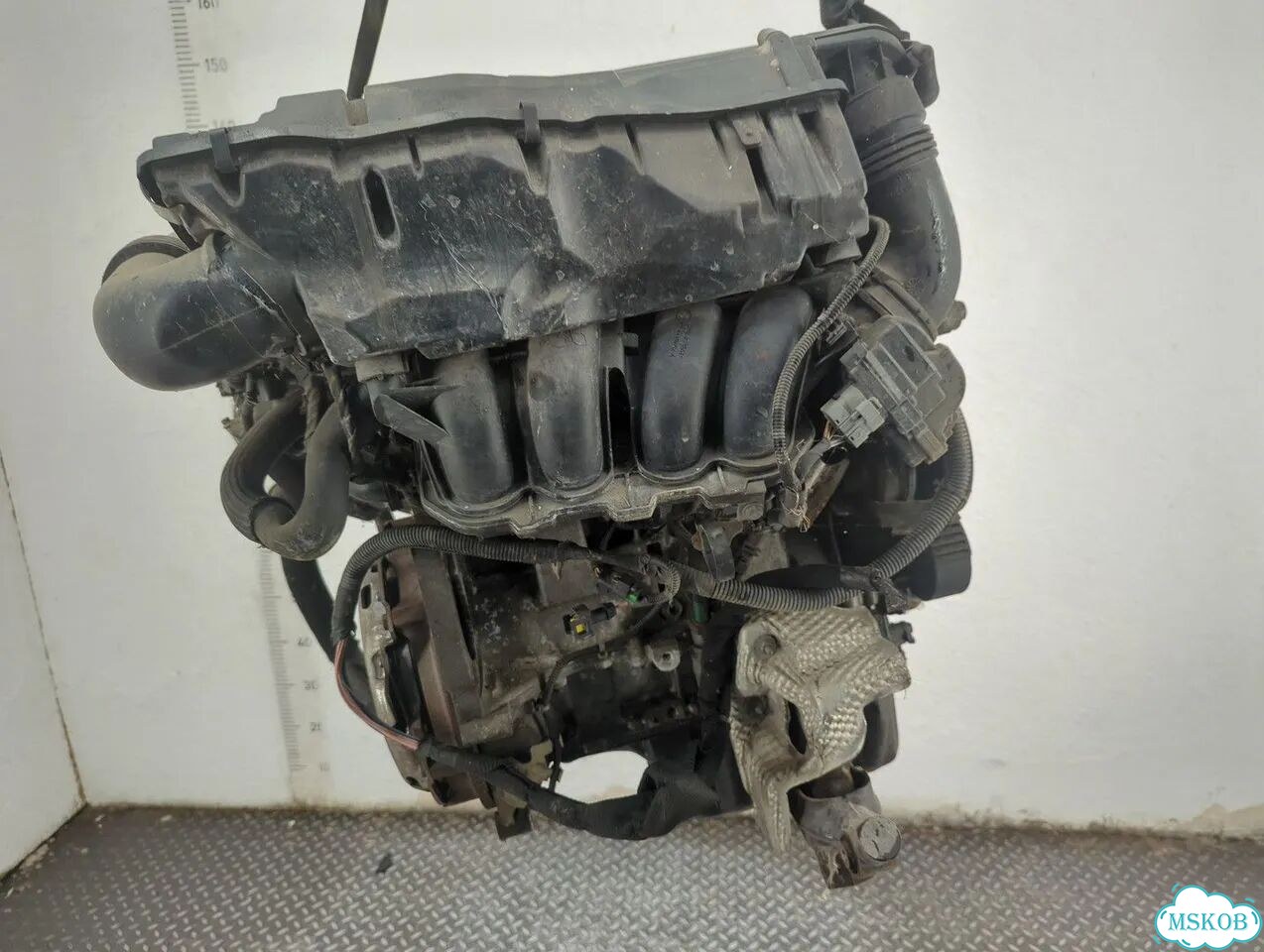 Двигатель Peugeot 308 5FW фото 5