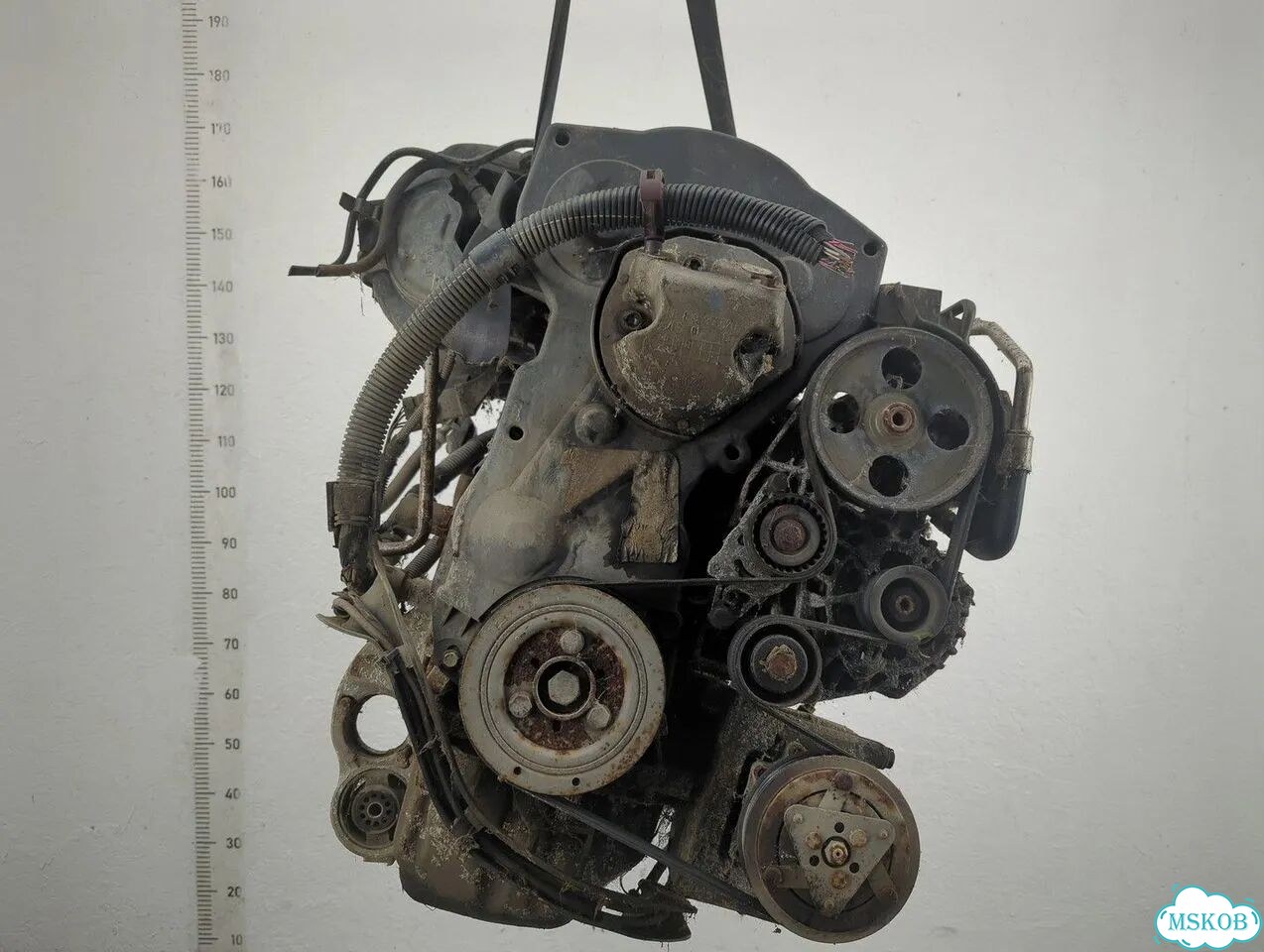 Двигатель Peugeot 206 NFU фото 1