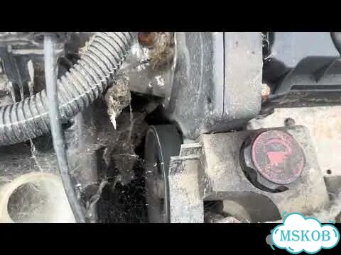 Двигатель Peugeot 206 NFU фото 2