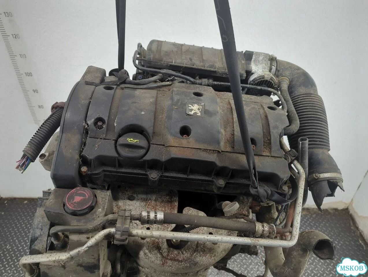 Двигатель Peugeot 206 NFU фото 6