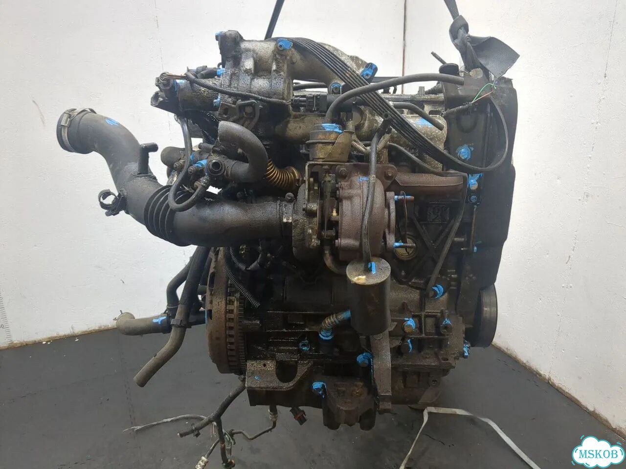 Двигатель Renault Laguna 2 F9Q 674 фото 10