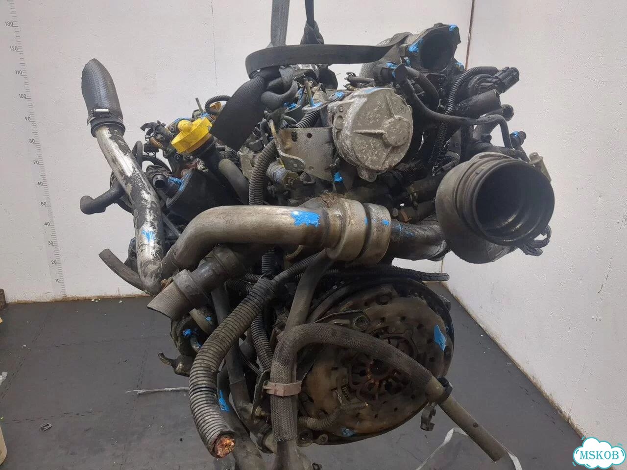 Двигатель Renault Laguna 2 F9Q 674 фото 11