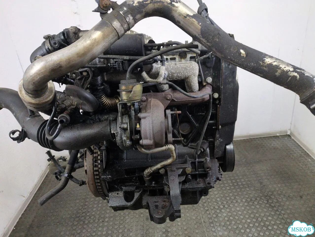 Двигатель Renault Laguna 2 F9Q 674 фото 4