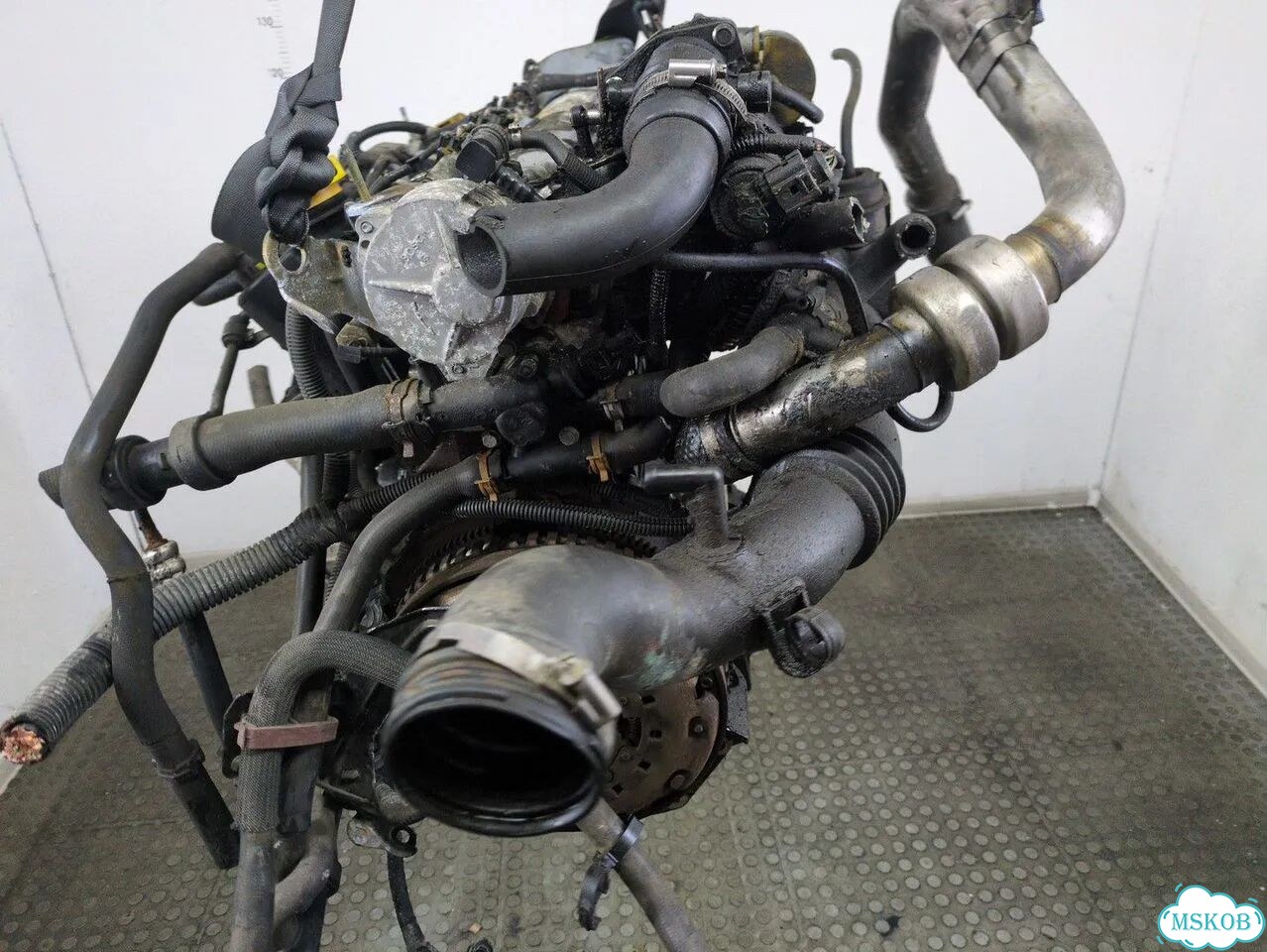 Двигатель Renault Laguna 2 F9Q 674 фото 5