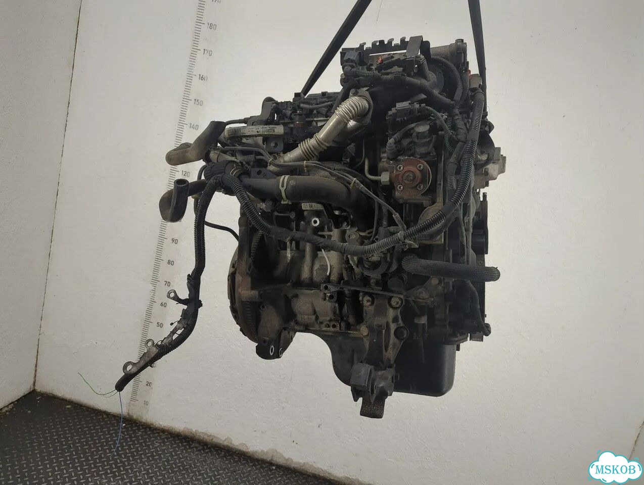 Двигатель Citroen C4 9HP фото 10