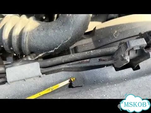Двигатель Ford C-Max G6DA,G6DB, G6DD, G6DG фото 2