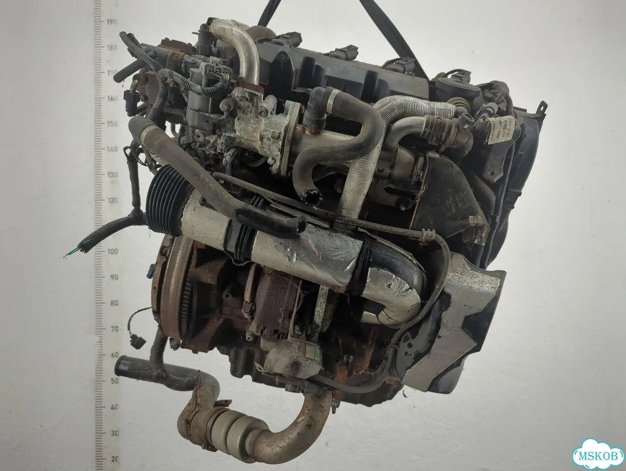 Двигатель Ford C-Max G6DA,G6DB, G6DD, G6DG фото 5