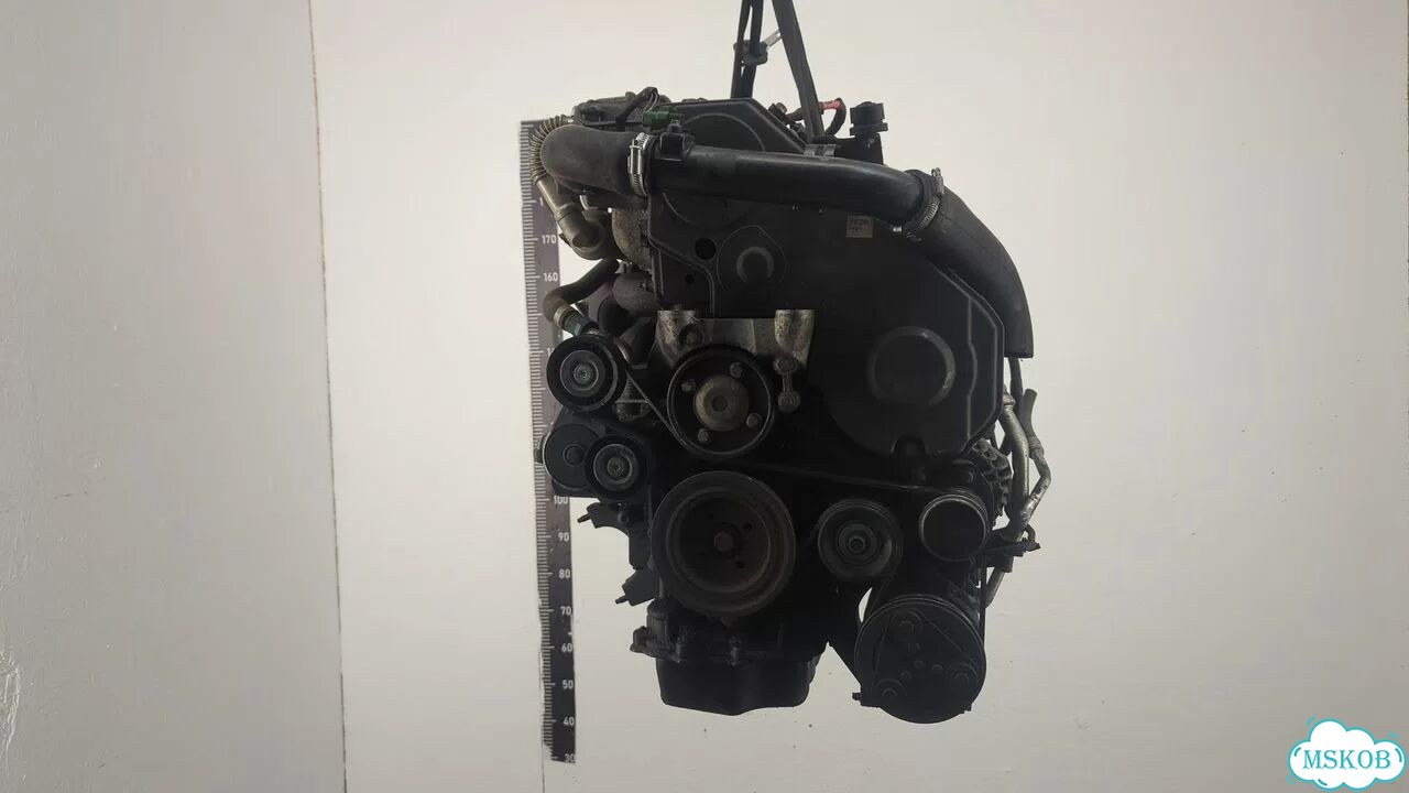 Двигатель Ford Focus 2 kkda, kkdb фото 1