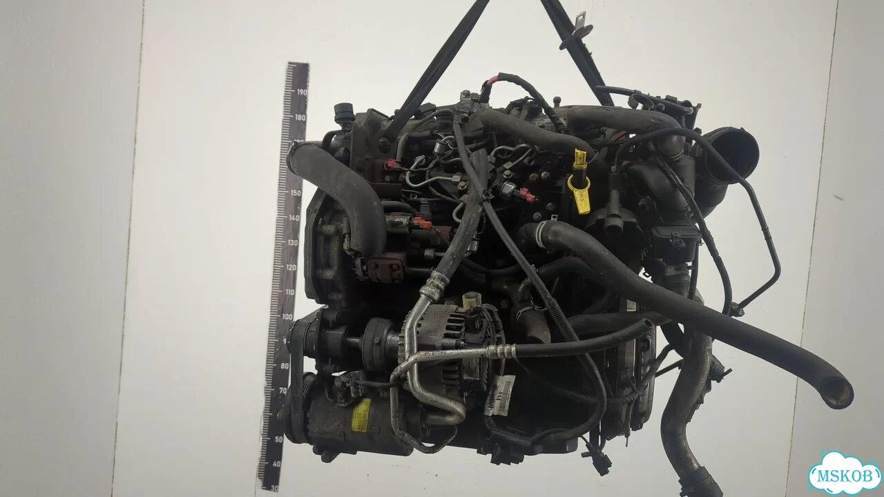 Двигатель Ford Focus 2 kkda, kkdb фото 3