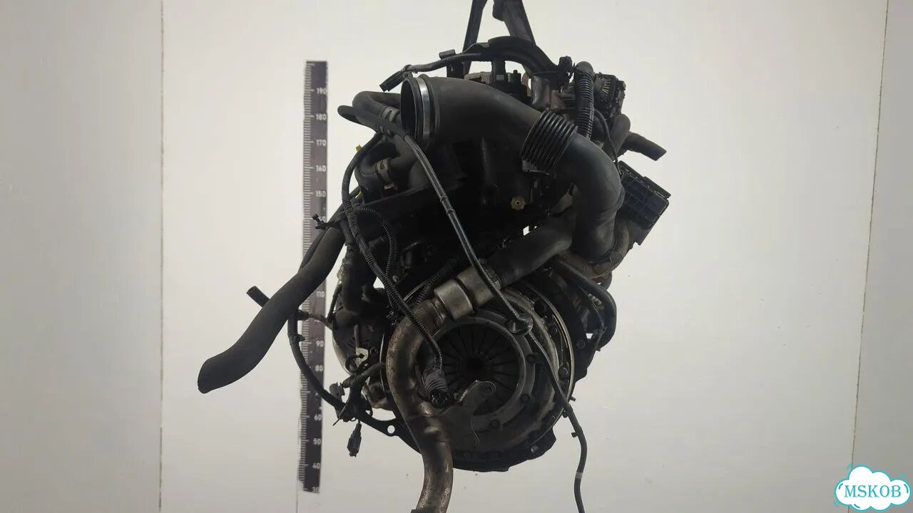Двигатель Ford Focus 2 kkda, kkdb фото 4