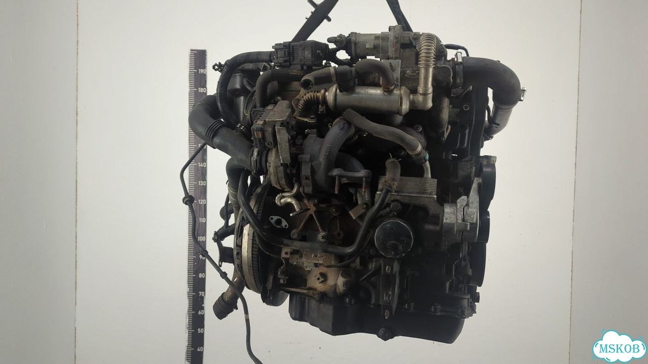 Двигатель Ford Focus 2 kkda, kkdb фото 5