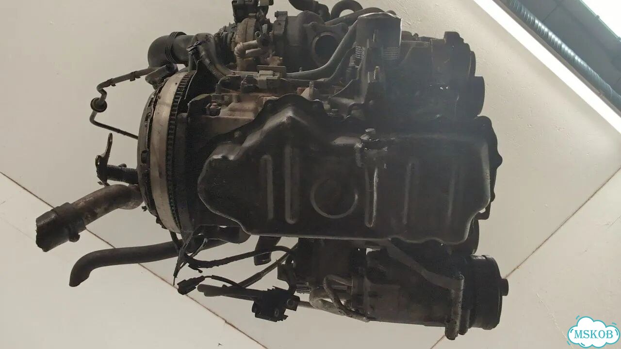 Двигатель Ford Focus 2 kkda, kkdb фото 6