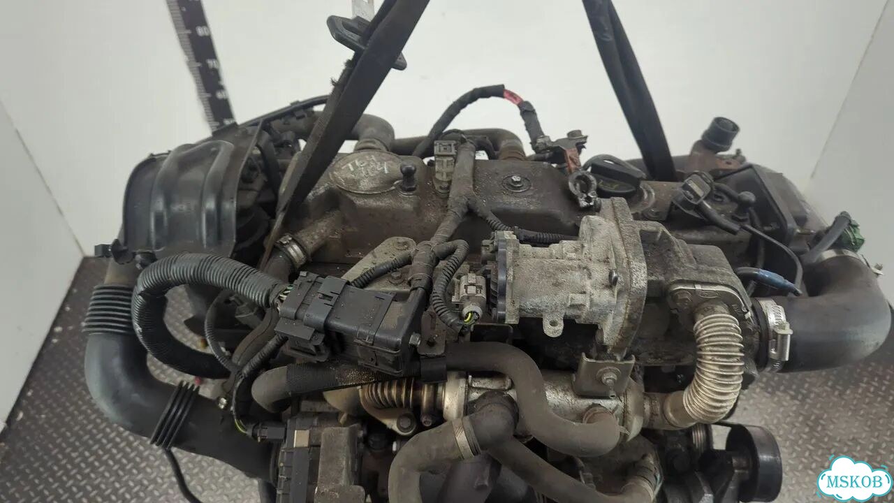 Двигатель Ford Focus 2 kkda, kkdb фото 7
