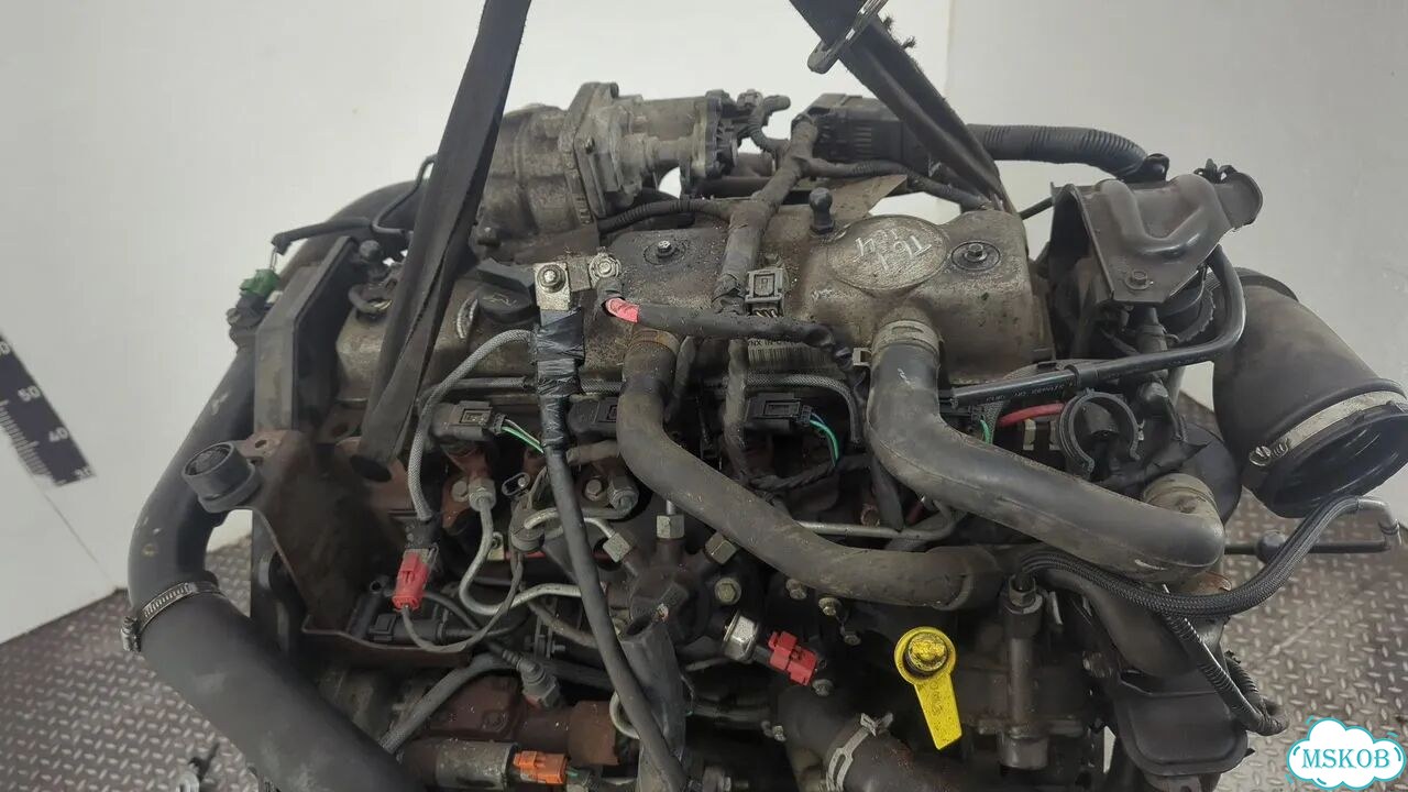 Двигатель Ford Focus 2 kkda, kkdb фото 8