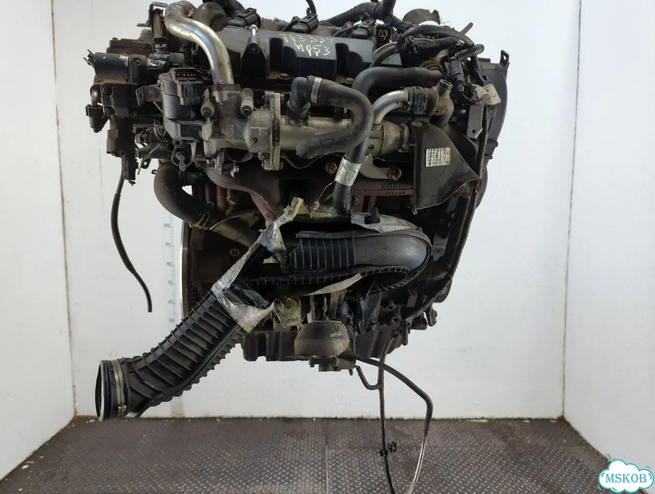Двигатель Ford Focus 2 G6DG фото 10