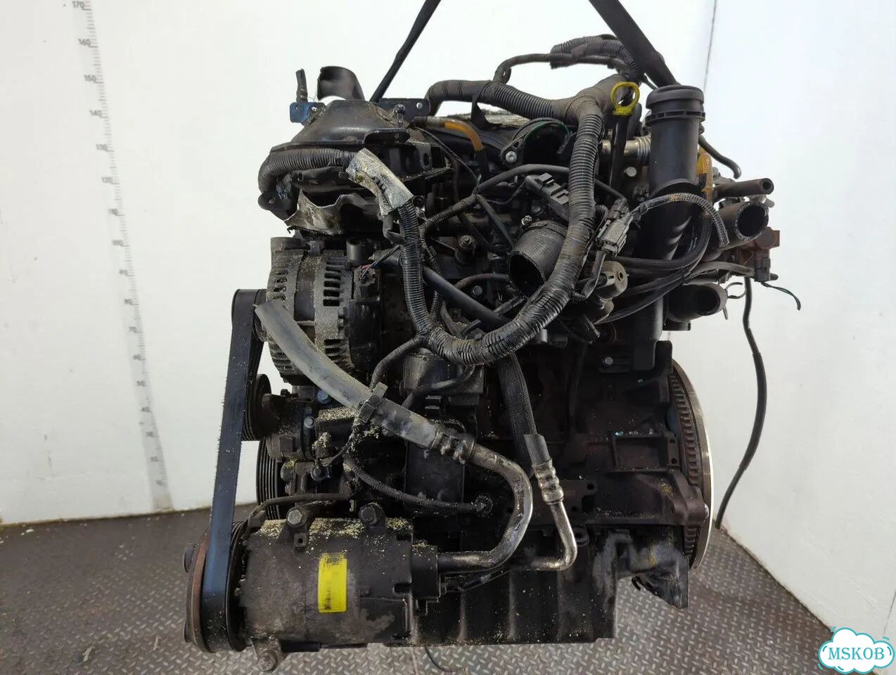 Двигатель Ford Focus 2 G6DG фото 3