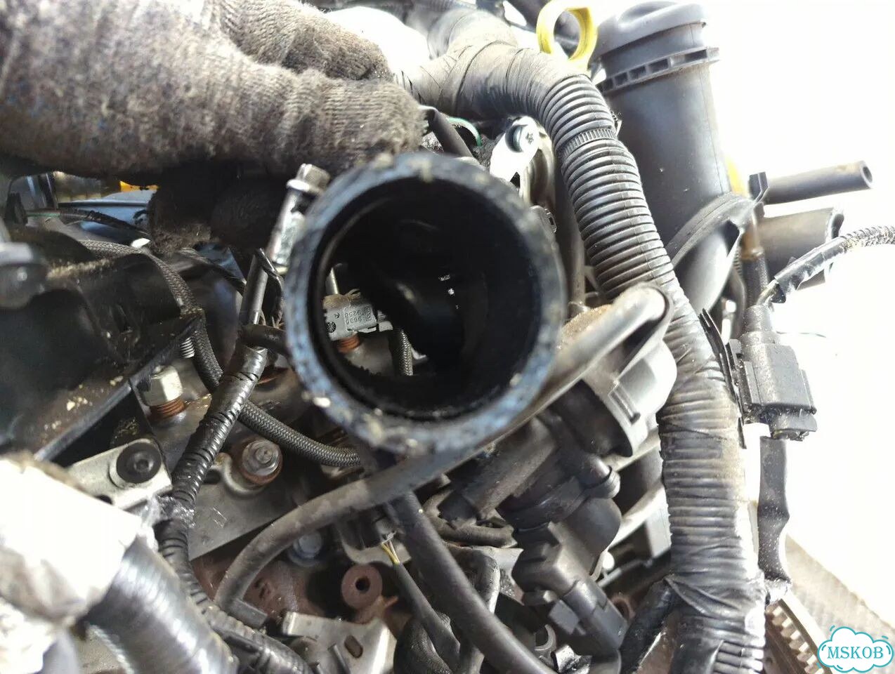 Двигатель Ford Focus 2 G6DG фото 4