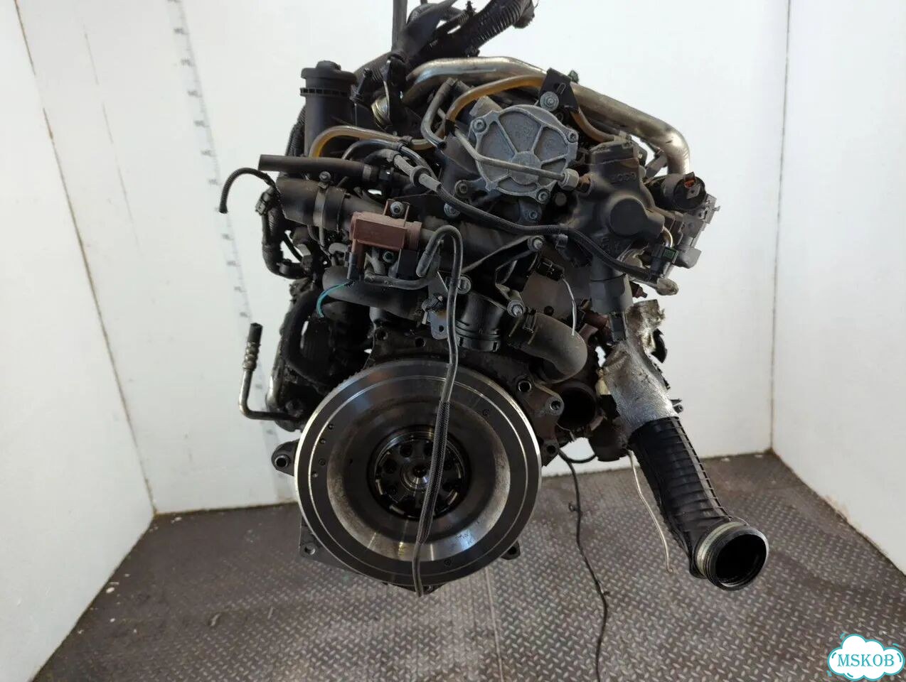 Двигатель Ford Focus 2 G6DG фото 7