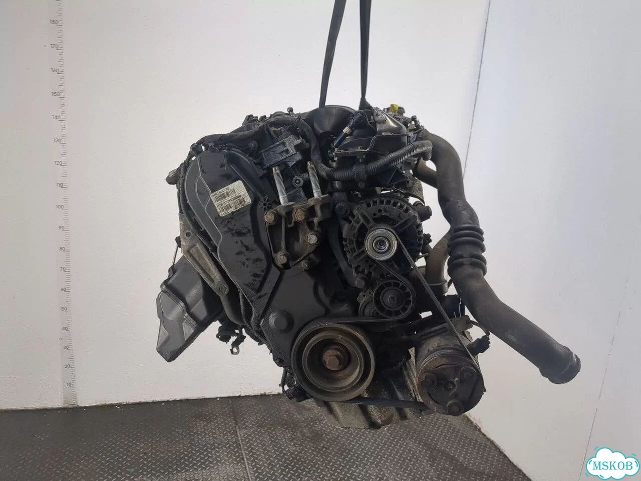 Двигатель Ford S-Max qxwa, qxwb, qxwc фото 1