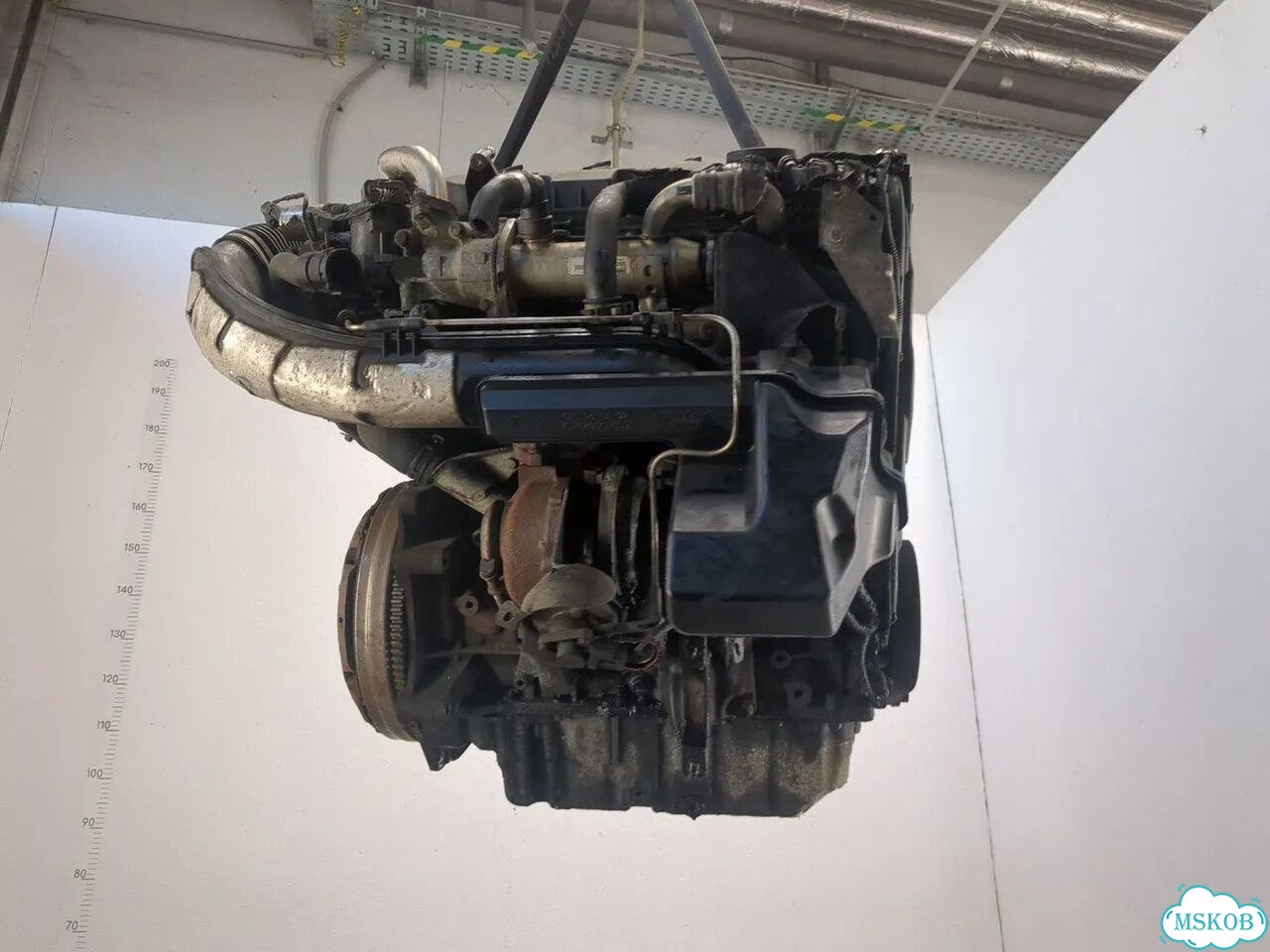 Двигатель Ford S-Max qxwa, qxwb, qxwc фото 3