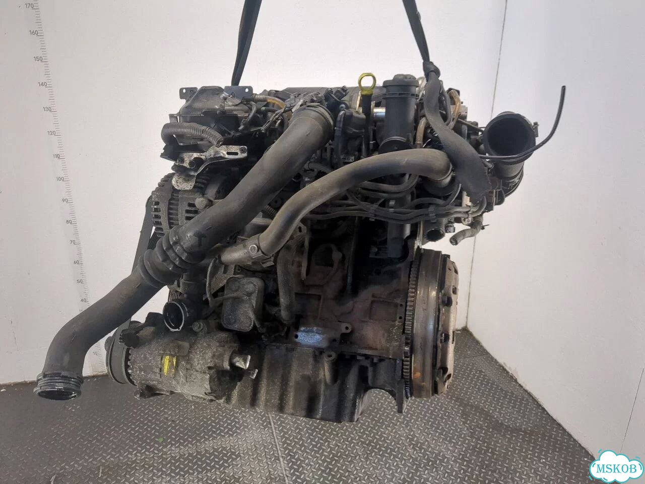 Двигатель Ford S-Max qxwa, qxwb, qxwc фото 4
