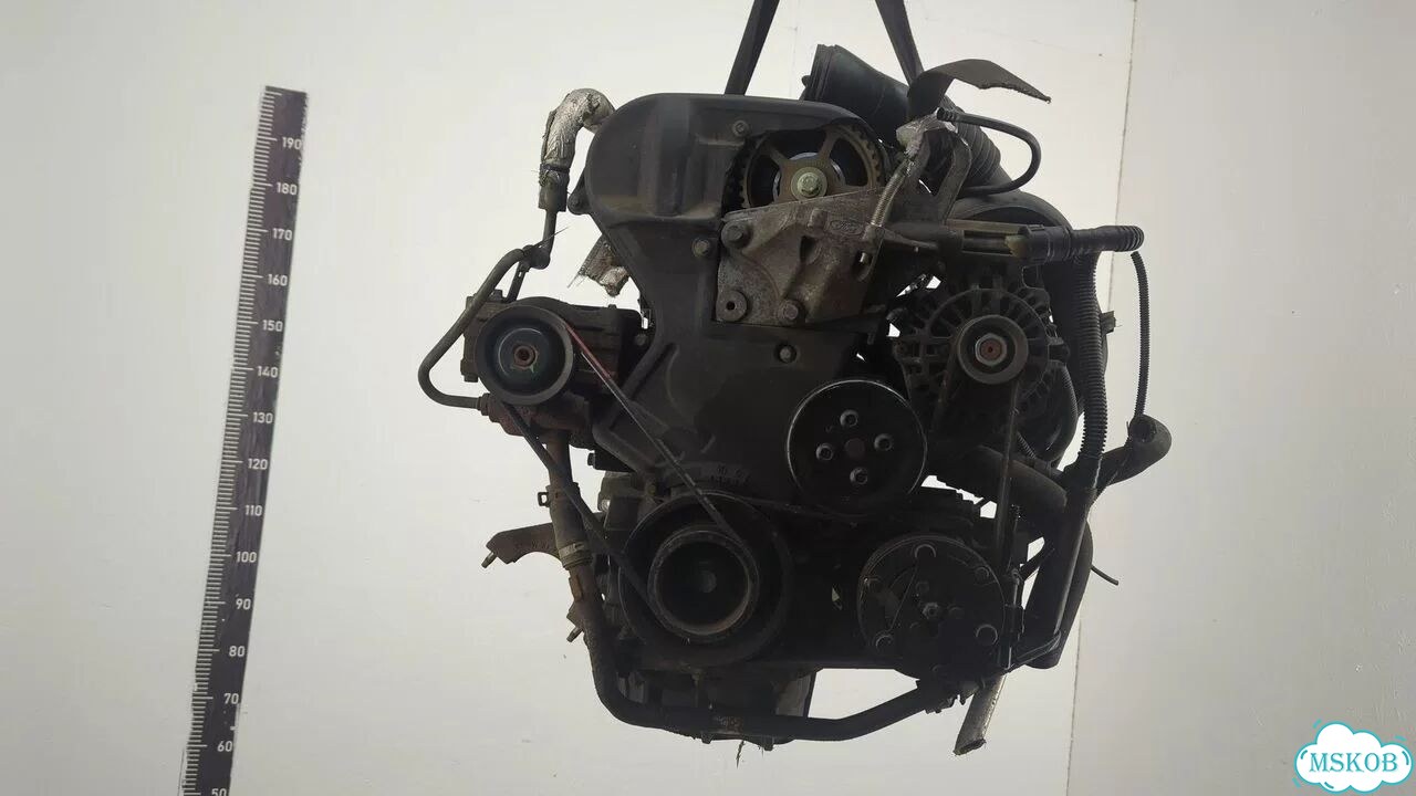 Двигатель Ford Fiesta FUJ фото 1