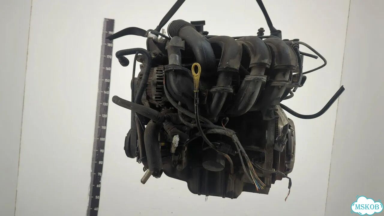 Двигатель Ford Fiesta FUJ фото 3