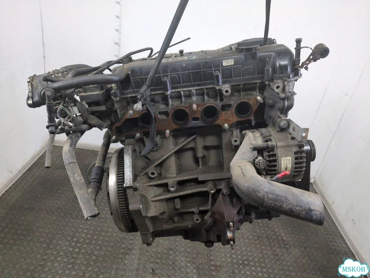 Двигатель Ford Mondeo 3 chba, chbb фото 1