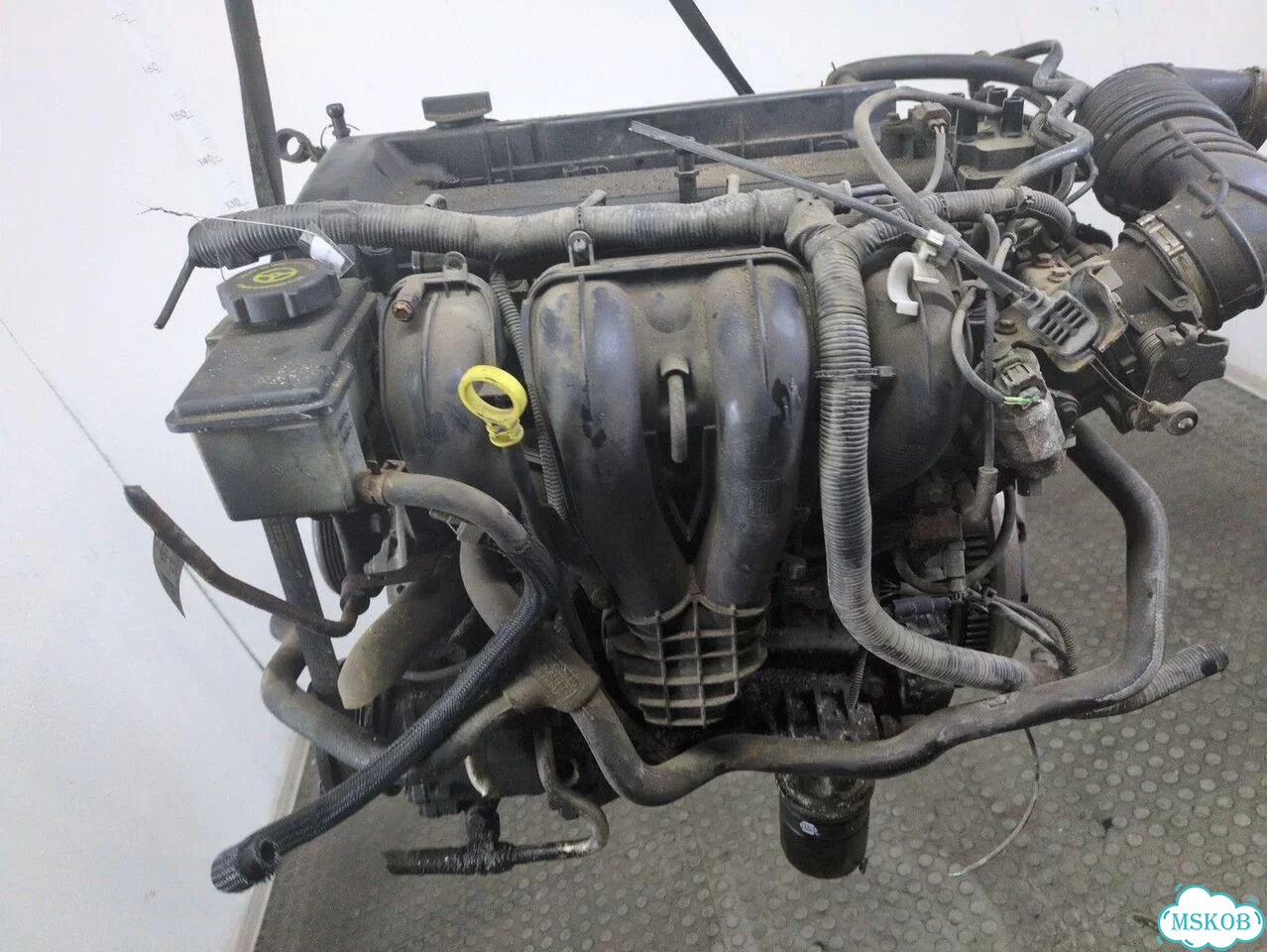 Двигатель Ford Mondeo 3 chba, chbb фото 5