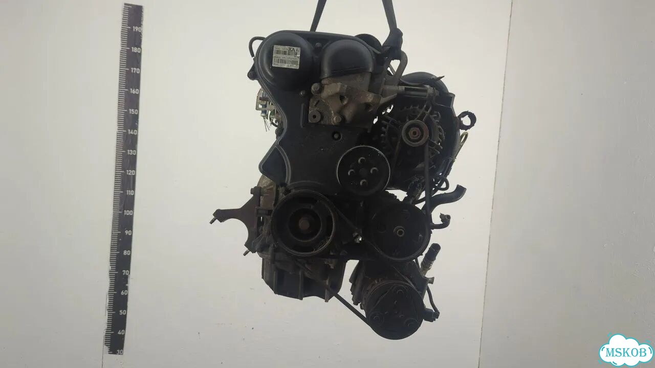 Двигатель Ford Focus 2 shda, shdc фото 1