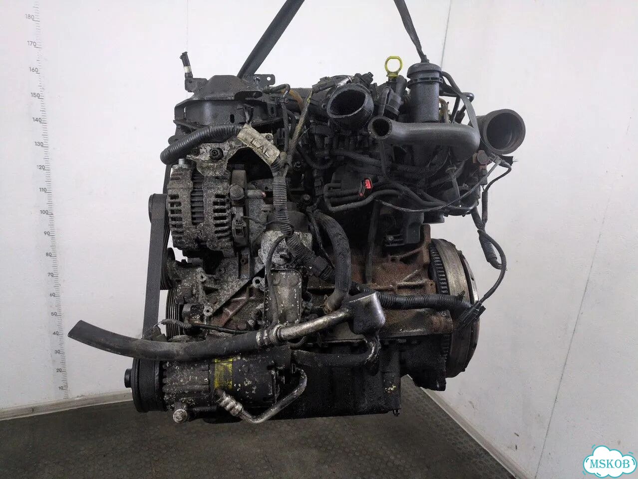 Двигатель Ford Galaxy qxwa, qxwb, qxwc фото 1