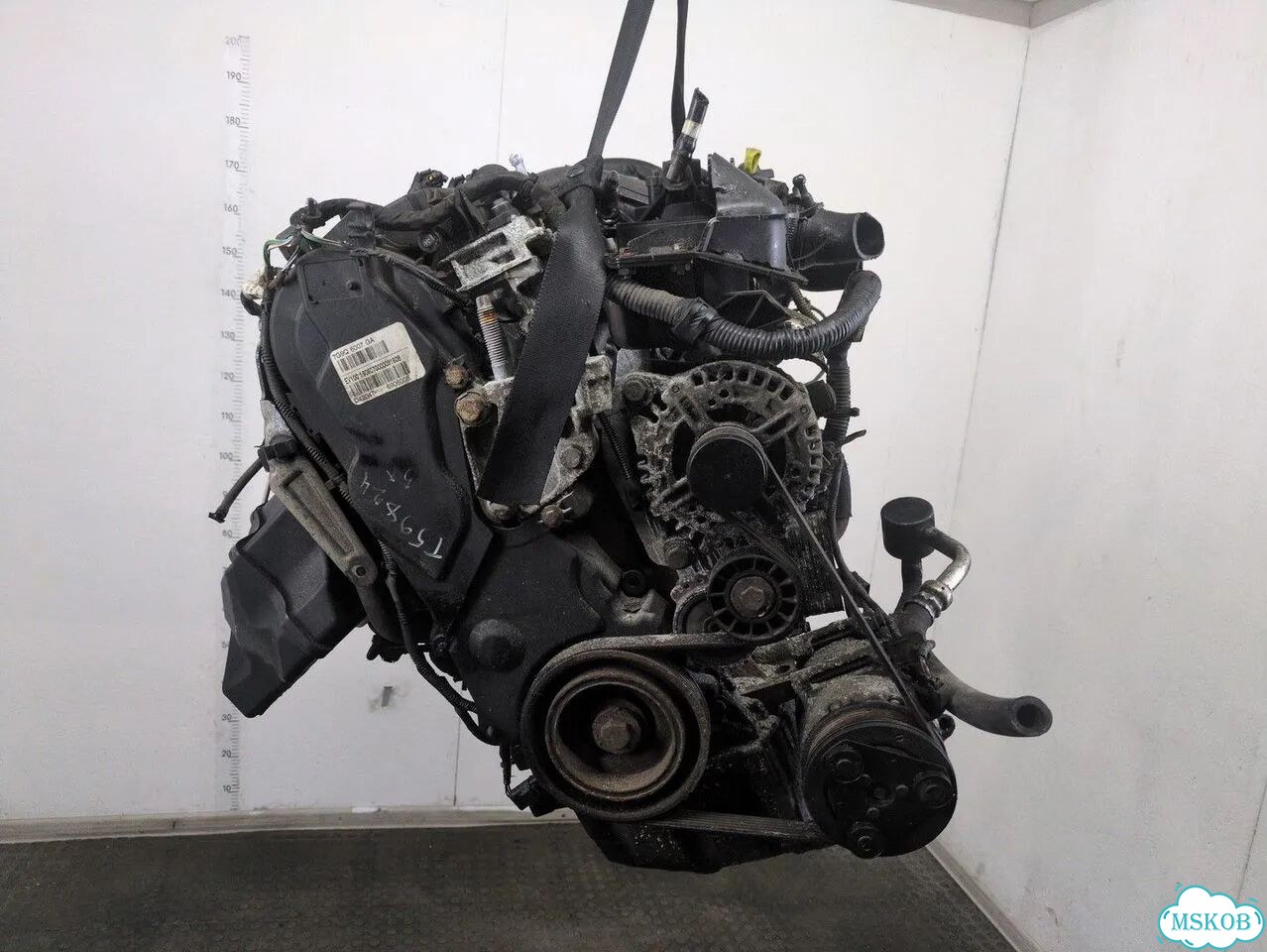 Двигатель Ford Galaxy qxwa, qxwb, qxwc фото 4