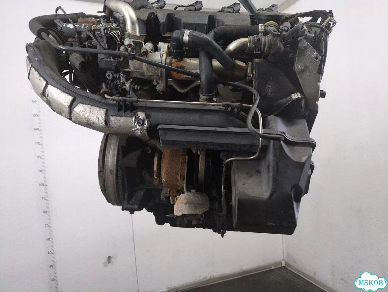 Двигатель Ford Galaxy qxwa, qxwb, qxwc фото 5
