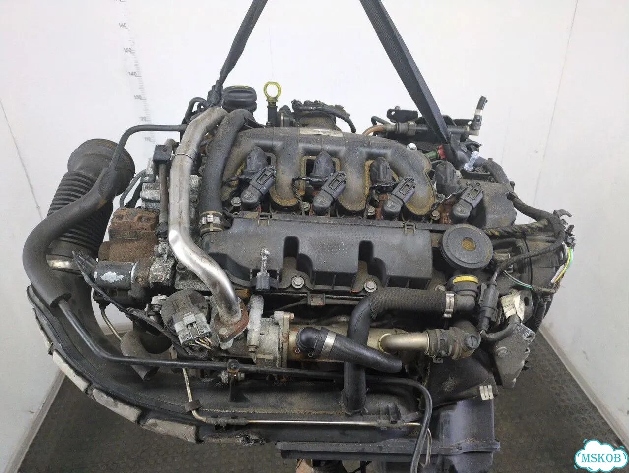 Двигатель Ford Galaxy qxwa, qxwb, qxwc фото 6