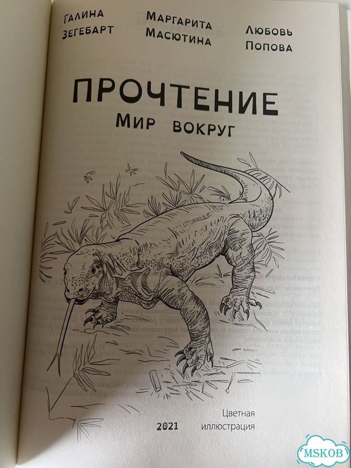 Прочтение мир вокруг Галина Зегебарт фото 2