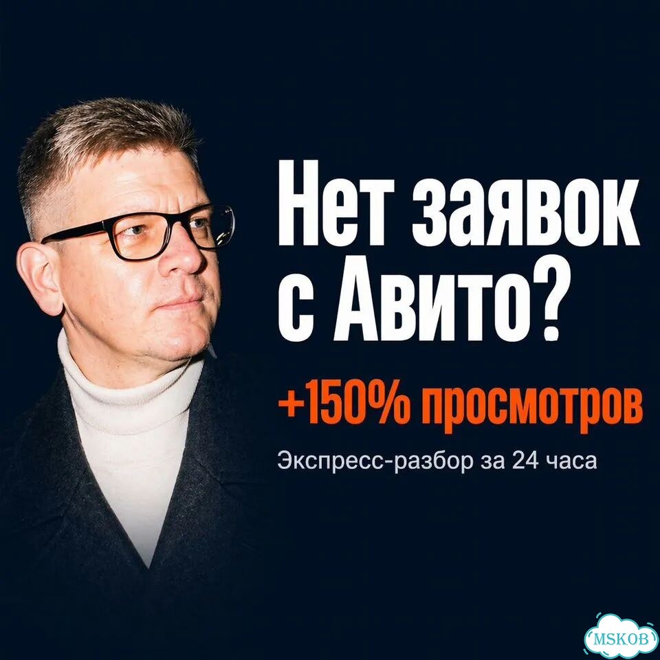 Авитолог для B2B и сложных ниш Аналитика за 24 ч фото 1
